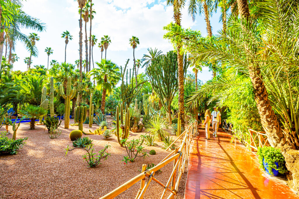 Jardin Majorelle