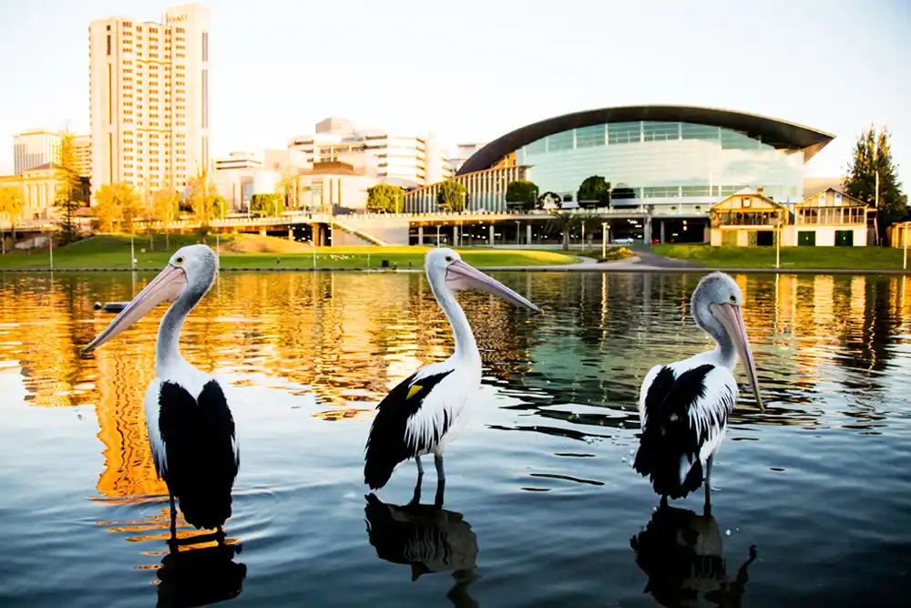 Adelaide, Australia