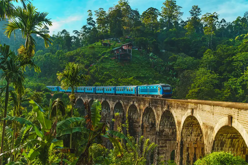 Enjoy the Blue Train Ride