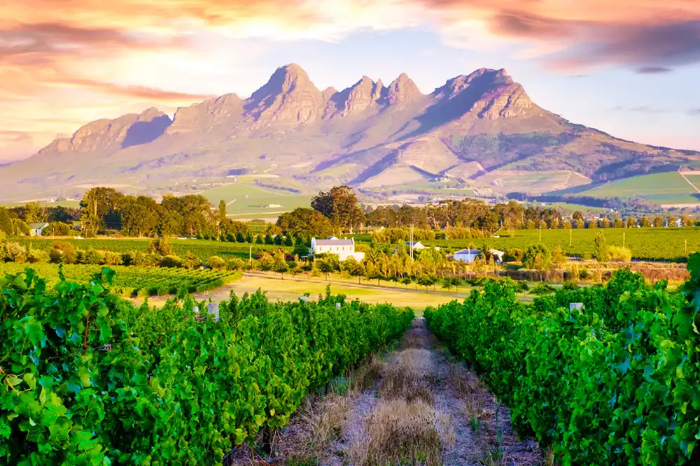 Cape Town