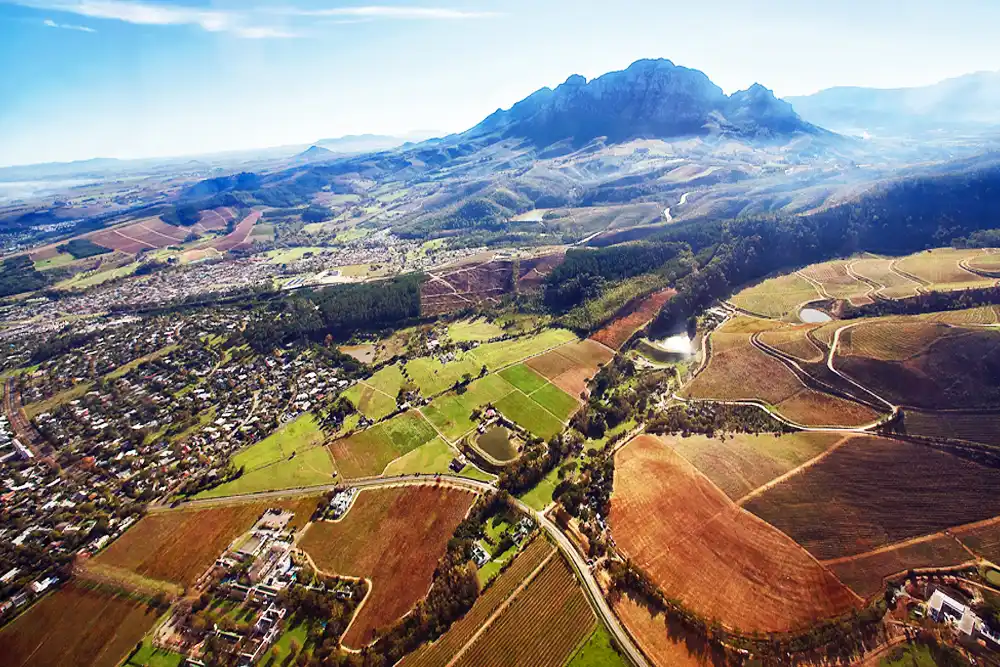 Wine Tasting at Cape Winelands