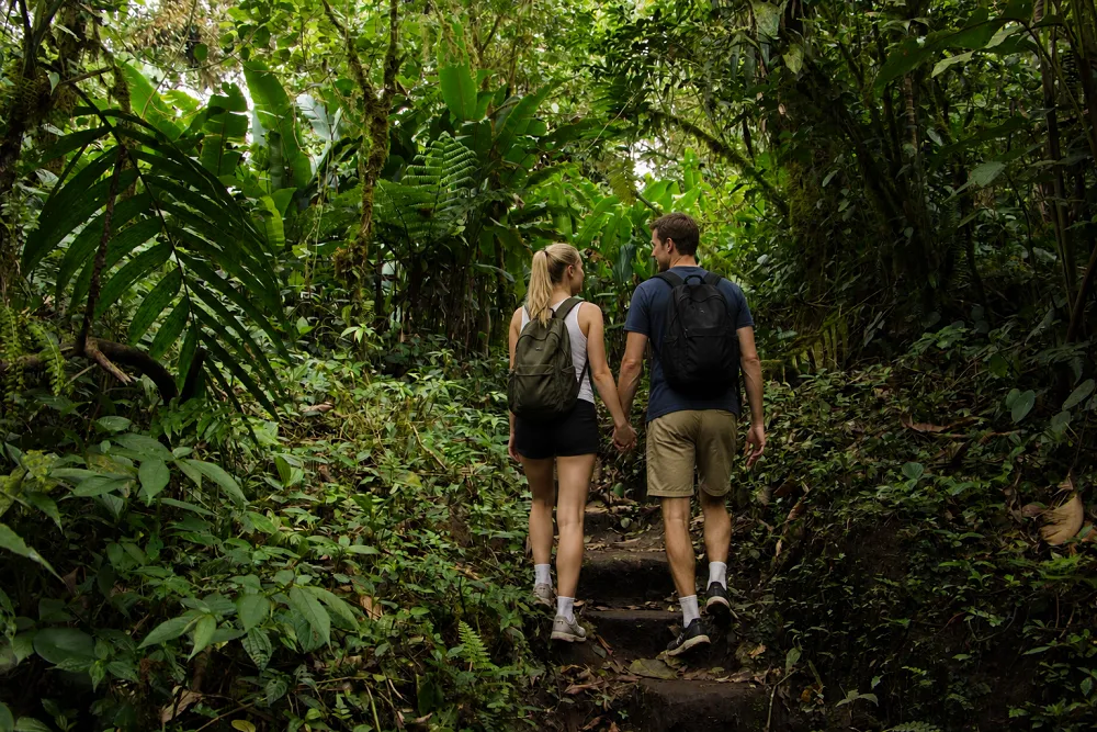 A couple hiking hand in hand through a lush tropical rainforest trail in Costa Rica surrounded by dense green jungle foliage and tall trees.