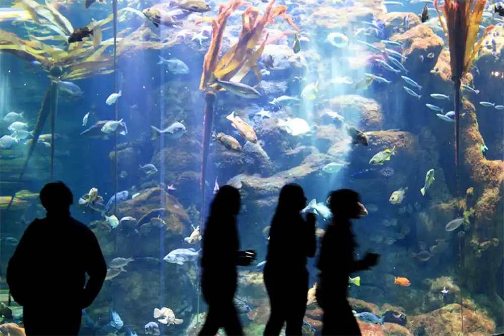 Dubai Aquarium