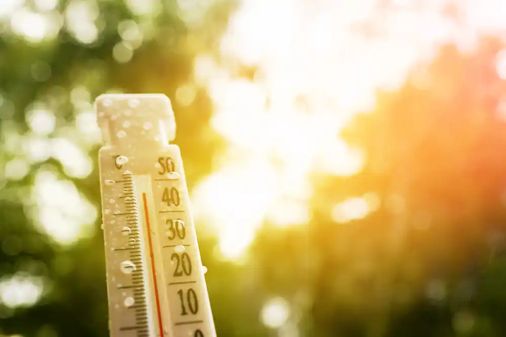 Dubai Weather in February