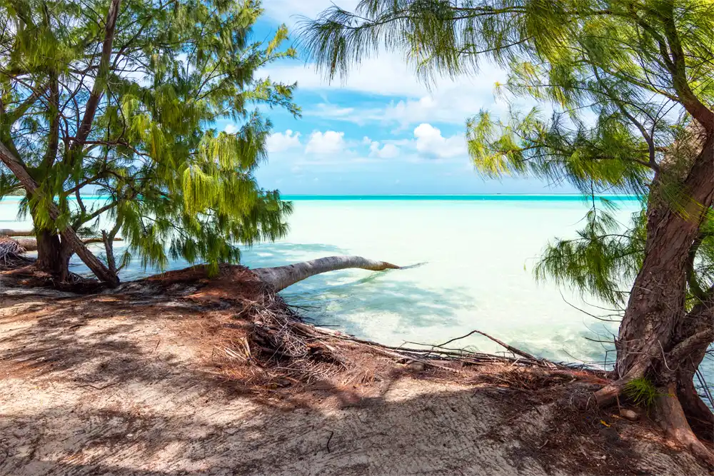 Fakarava Beaches