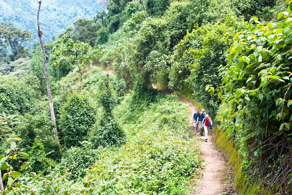 Go Hiking at Rwanda’s Scenic Trails