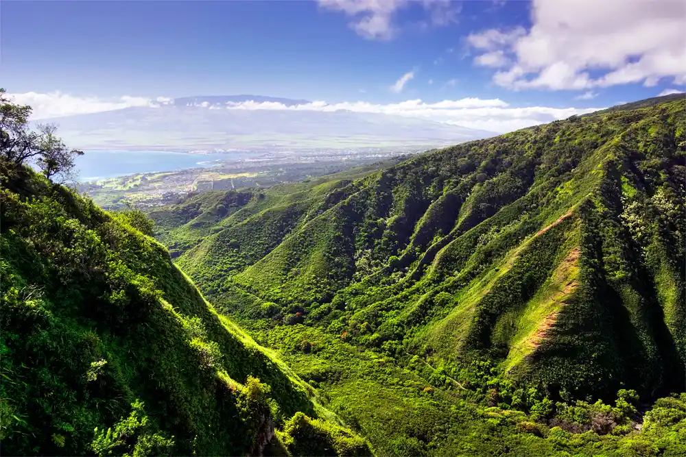Hawaii