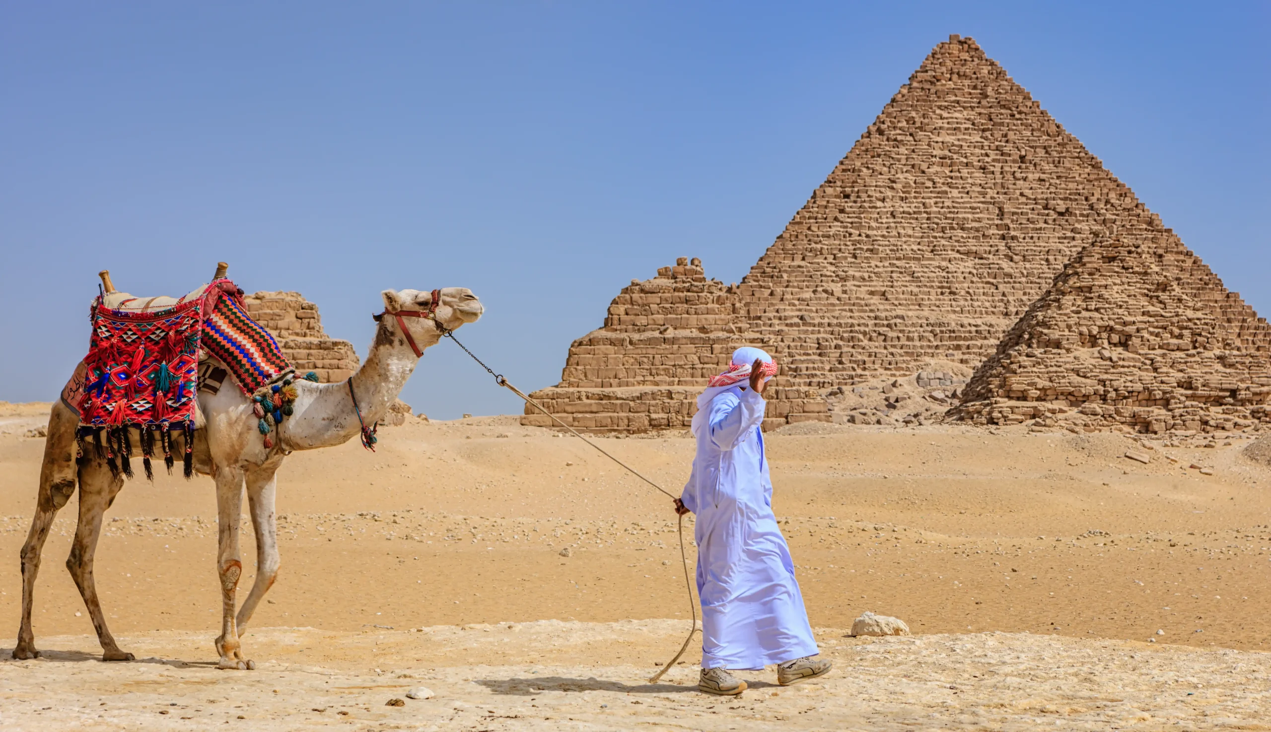 immerse-in-bedouin-culture