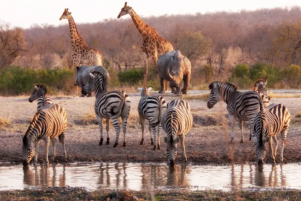 Kruger National Park