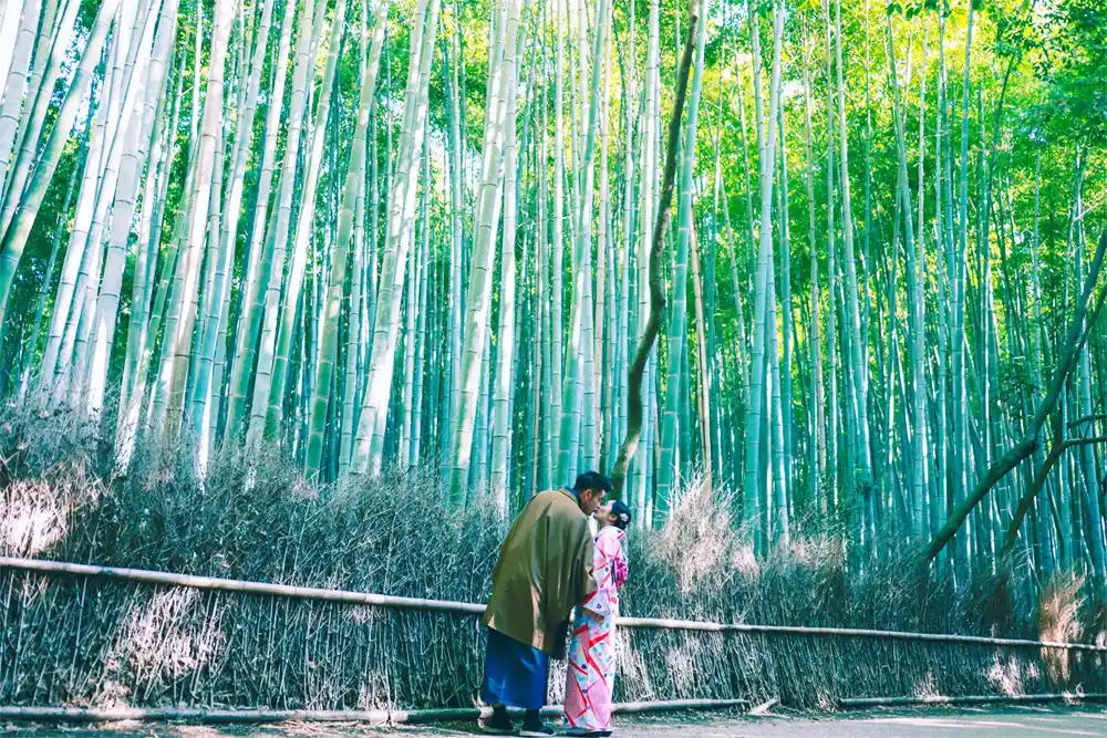 Kyoto, Japan