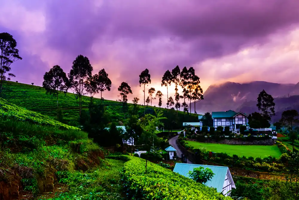 Nuwara Eliya