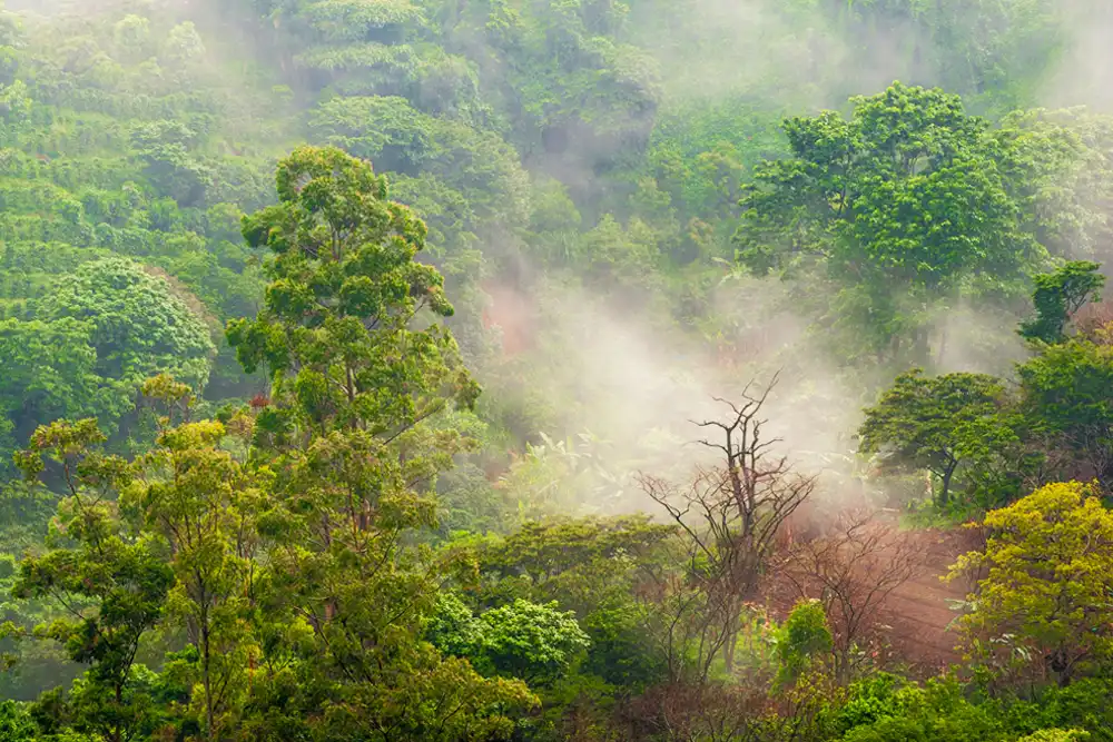 Rainy Season (May to November)