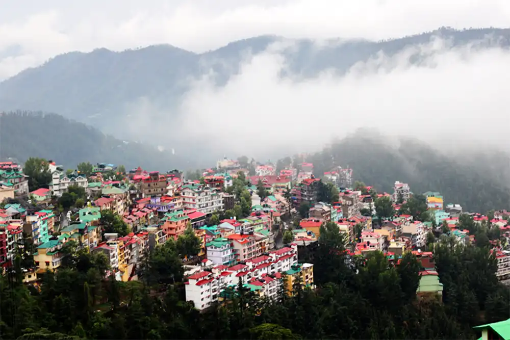 Shimla
