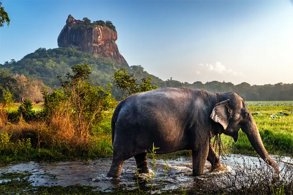 Sigiriya